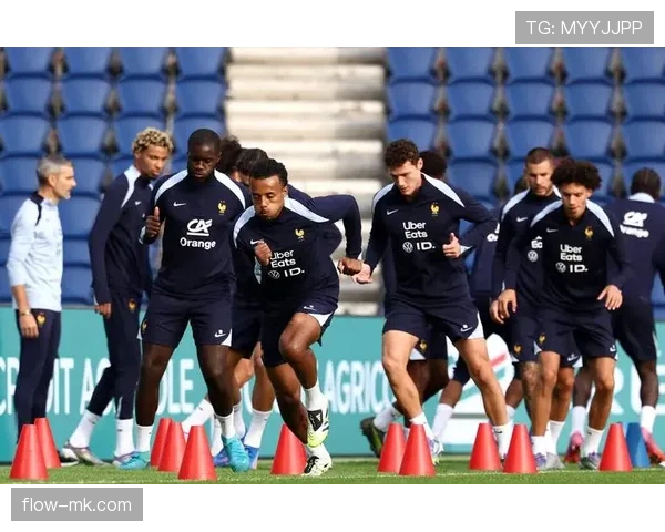 法国队再铸辉煌，双冠加冕彰显世界杯统治力