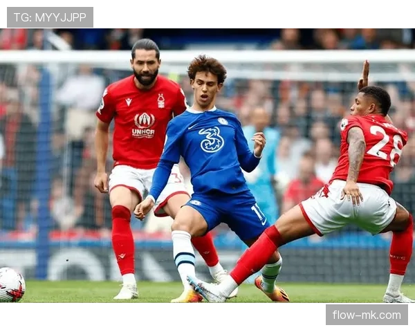 英超赛季综述：球队表现稳健，未来走势引关注