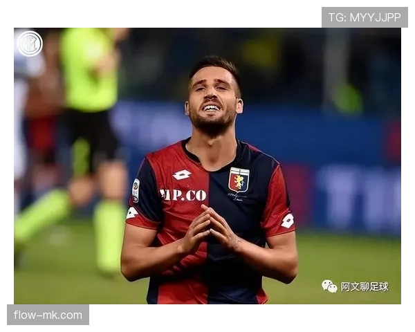 维罗纳整体实力分析：当前赛季表现稳健，竞争力持续提升